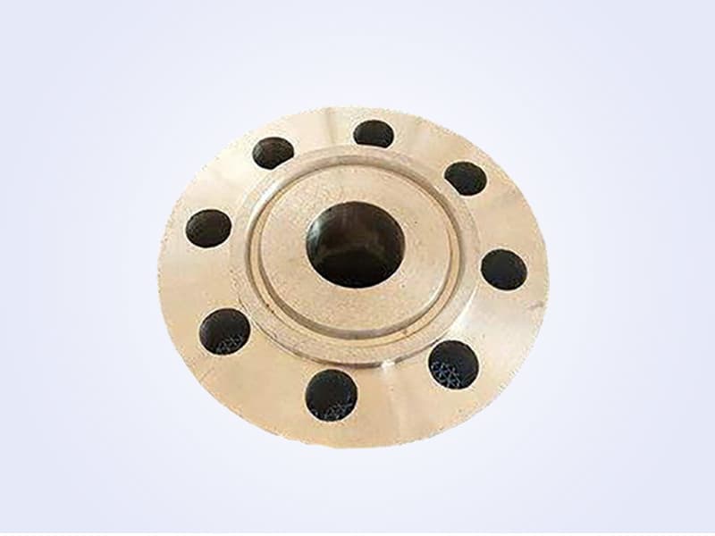 Welding Neck Flange - 带颈对焊法兰 (7)