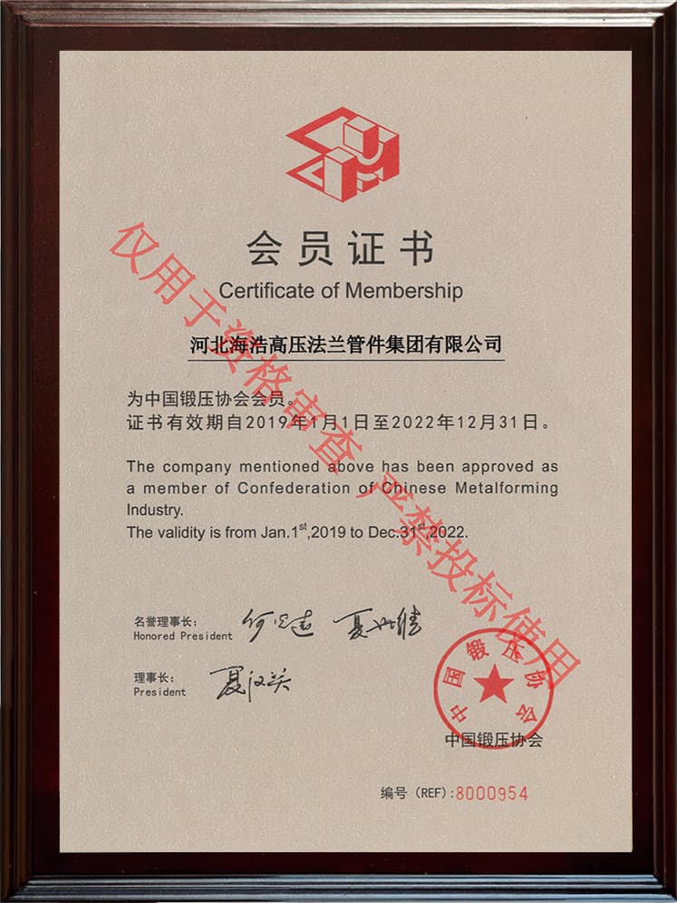 Miembro de la Asociación China de Forja