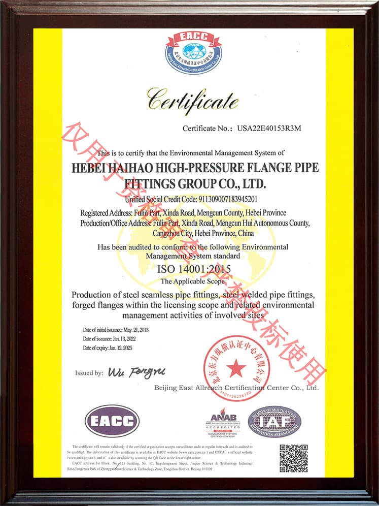 ISO 14001 Gestión Ambiental (EN)