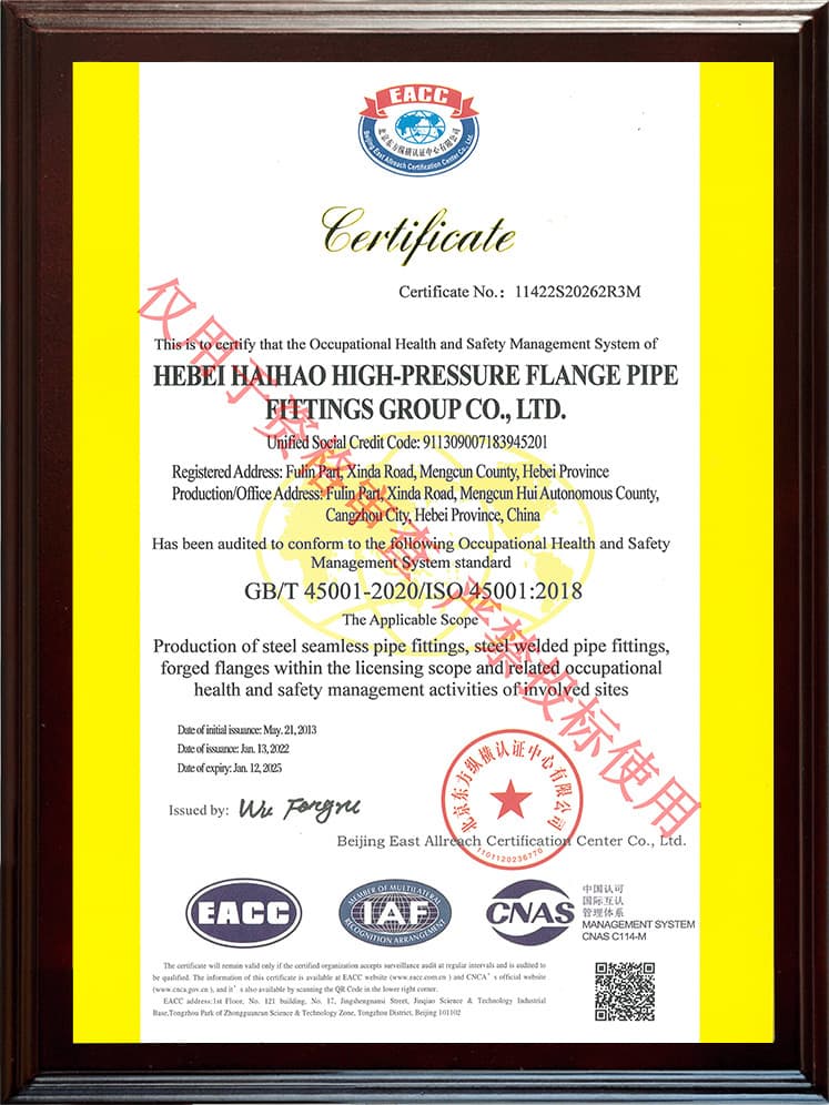 ISO 45001 SST (EN)