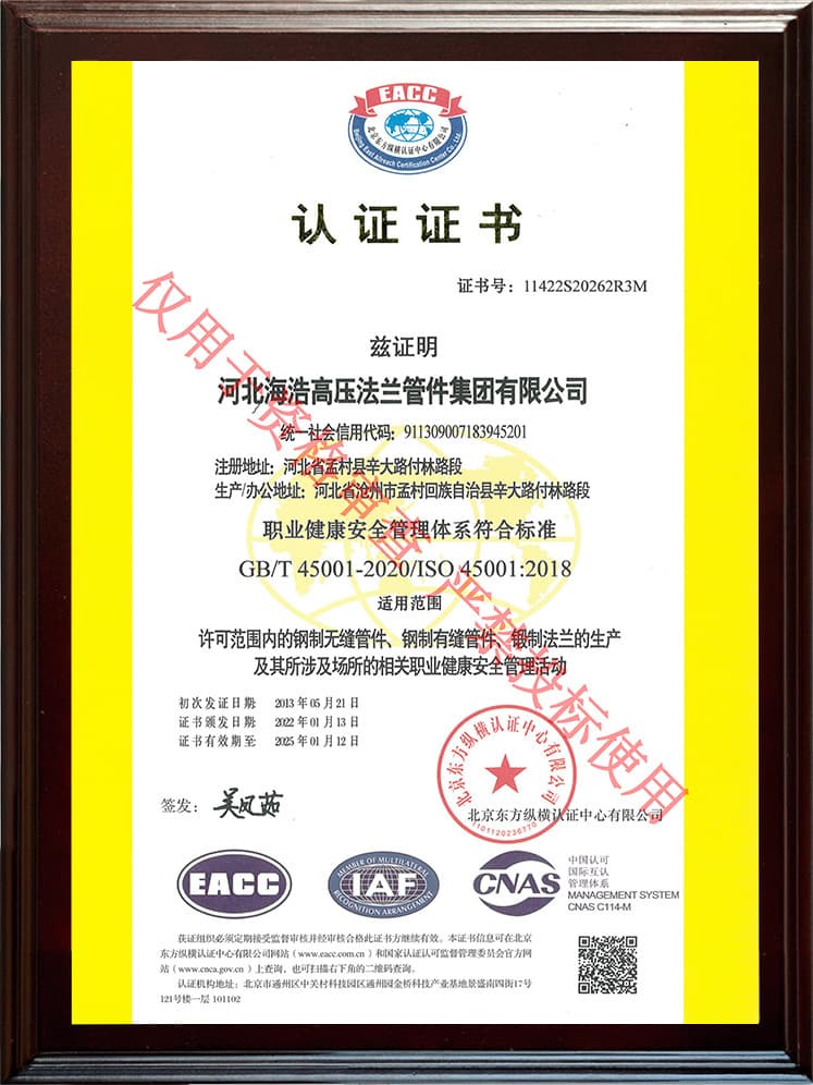 ISO 45001 SST (CN)