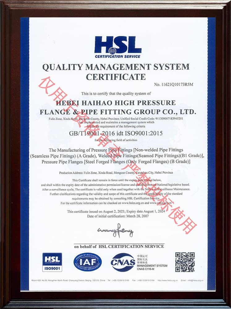 ISO 9001 Gestión de Calidad (EN)