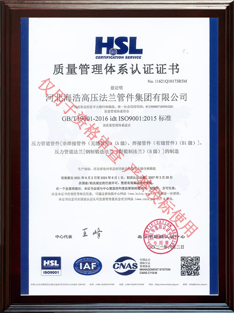 ISO 9001 Gestión de Calidad (CN)