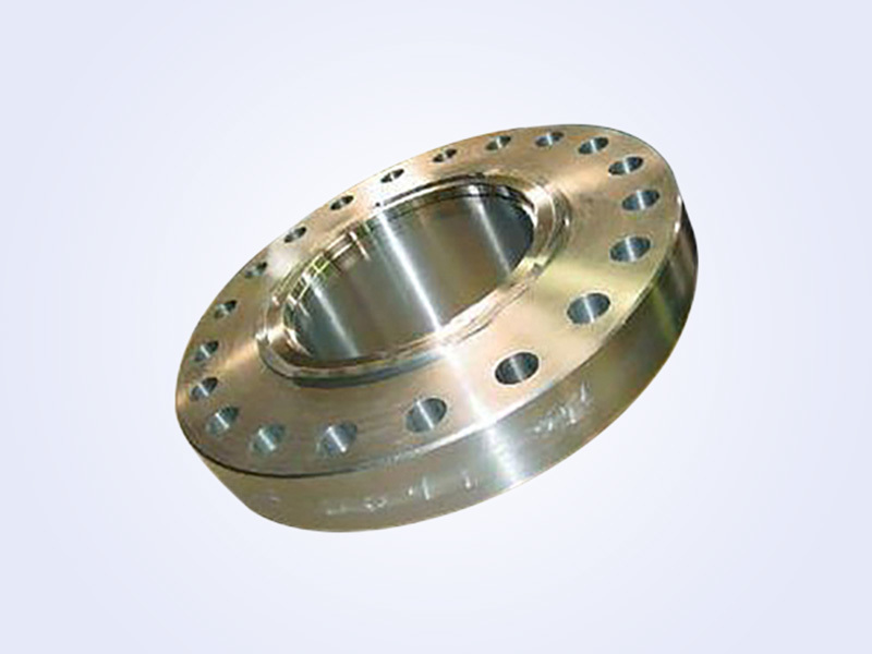 Forged Flange - 法兰 (1)